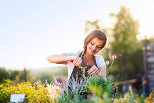 Company operative assessing a trimmed hedge at a property