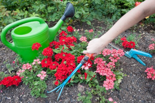 Gardener trimming hedge in Aldgate terrace garden