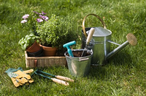 Local Aldgate climate and soil considerations for effective landscaping