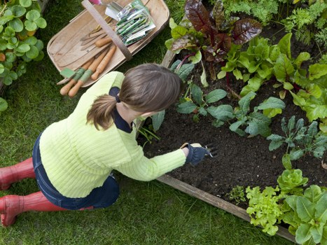 Professional garden clearance services removing debris and clutter