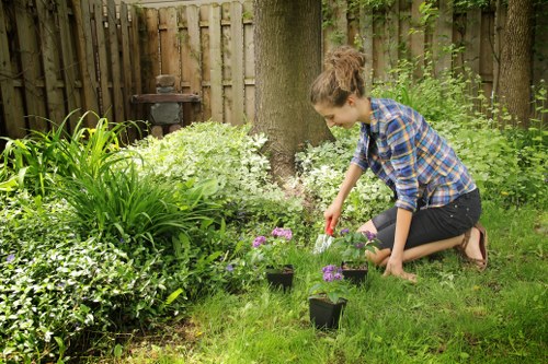 Gardener pruning and trimming plants during a garden clearance
