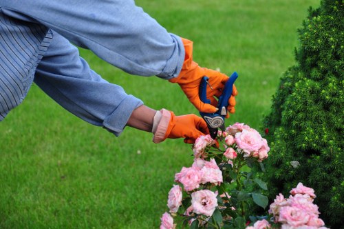 Supervisor demonstrating PPE and safe tool handling during hedge trimming